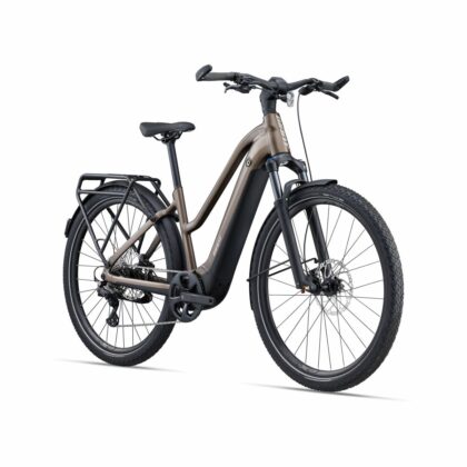 Bicicleta eléctrica